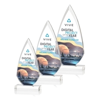 The arrowhead shape of the Vanderbilt Award is defined with deep... from ASI...