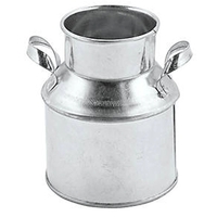 Mini Metal Jug
