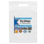 9 1/2W x 14H Die Cut Handle Bag - Dynamic Color