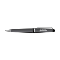 Waterman Expert Ballpoint - Matte