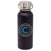 17 oz. double wall stainless steel bottle with vacuum insulation, brushed......