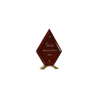10" rosewood finished diamond standing plaque with a floating piece of......