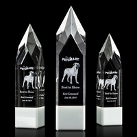Coventry 3D Award - White