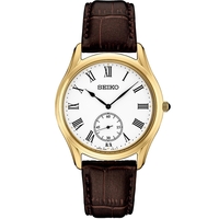 Seiko Men's Essential