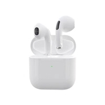 Wireless Bluetooth 5.0 Earbuds with Charging Case