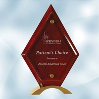 This Diamond Black Piano Finish Floating Acrylic Award is the perfect... from...