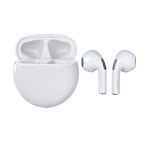 Waterproof Wireless Bluetooth 5.0 Earbuds with Charging Case