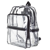 Large clear backpack