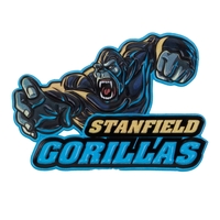 Embossed TPU patches are a favorite for uniforms, bags, police...