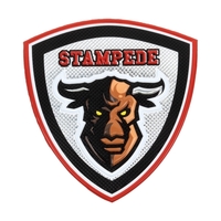 Embossed TPU patches are a favorite for uniforms, bags, police...