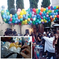 Balloon Drop Kit - 1000 Balloons