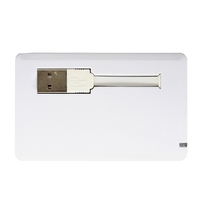 Shabbona Executive Pull Out USB Card