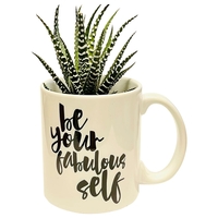 Succulent in Be Your Fabulous Self Mug... from ASI 58295 Groline