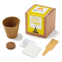 Solar Chakra Seed Growable in Kraft Gift Box