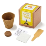 Solar Chakra Seed Growable in Kraft Gift Box
