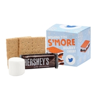 S'mores Kit Favor Box - Single Serving
