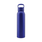 Stainless Steel Water Bottle, 20 oz.