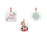 3.5" Glass Ornaments