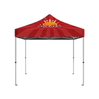 10" x 10" canopy package with a top, frame, ropes, stake... from ASI 88060...