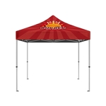 10" x 10" Canopy Package
