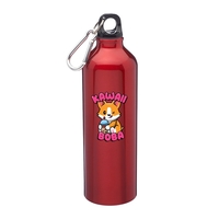 24 ounce aluminum water bottle with twist on lid and carabiner... from ASI...