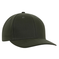 Deluxe RPET Brushed Twill Cap.... from ASI 80129 Quake City Caps