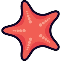 1/4" thick acrylic magnet with starfish stock shape and full color... from...