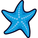 Stock Shape 1/4" Acrylic Magnet - USA Made