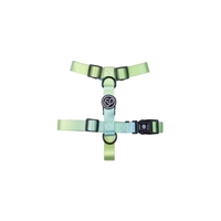 Stylish Adjustable Pet Vest Harness