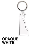 Key Tag - Delaware - Spot Color
