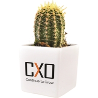 Cactus Growing Gift Kit with Ceramic Pot