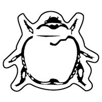 Magnets - Stock Shape Collection - Full Color. Bug shaped.... from ASI 80210...