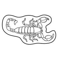 Magnets - Stock Shape Collection - Full Color. Scorpion shaped.... from ASI...