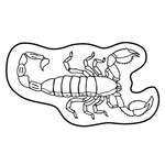 Magnets - Stock Shape Collection - Full Color - Scorpion