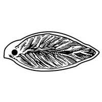 Key Tags - Soft Vinyl - Spot Color Screen Print -... from ASI 80210 Quikey...