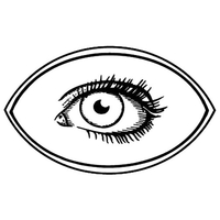 Magnets - Stock Shape Collection. 20 and 30-Mil magnets with white... from...