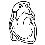 Key Tags - Soft Vinyl - Stock Shape Collection - Human Heart
