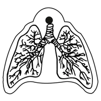 Key Tags - Soft Vinyl - Spot Color Screen Print -... from ASI 80210 Quikey...