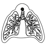 Key Tags - Soft Vinyl - Stock Shape Collection - Lungs