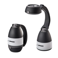 CEDAR CREEK® TRANSFORMER LAMP LIGHT