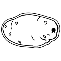 Key Tags - Soft Vinyl - Spot Color Screen Print -... from ASI 80210 Quikey...