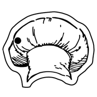 Key Tags - Soft Vinyl - Spot Color Screen Print -... from ASI 80210 Quikey...