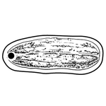 Key Tags - Soft Vinyl - Stock Shape Collection - Pickle