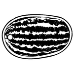 Key Tags - Soft Vinyl - Stock Shape Collection - Watermelon