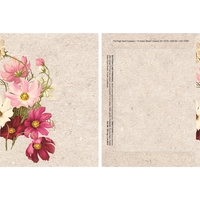 Watercolor Series Butterfly seeds in a packet.... from ASI 75760 The Page...