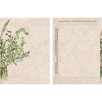 Watercolor Series Herb Mix Seeds