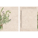 Watercolor Series Herb Mix Seeds