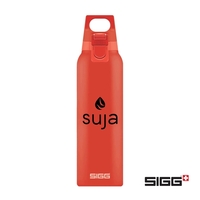 SIGG™ Hot & Cold One Bottle - 17oz