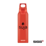 SIGG™ Hot & Cold One Bottle - 17oz