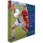 Spring Wall - Medium Kit